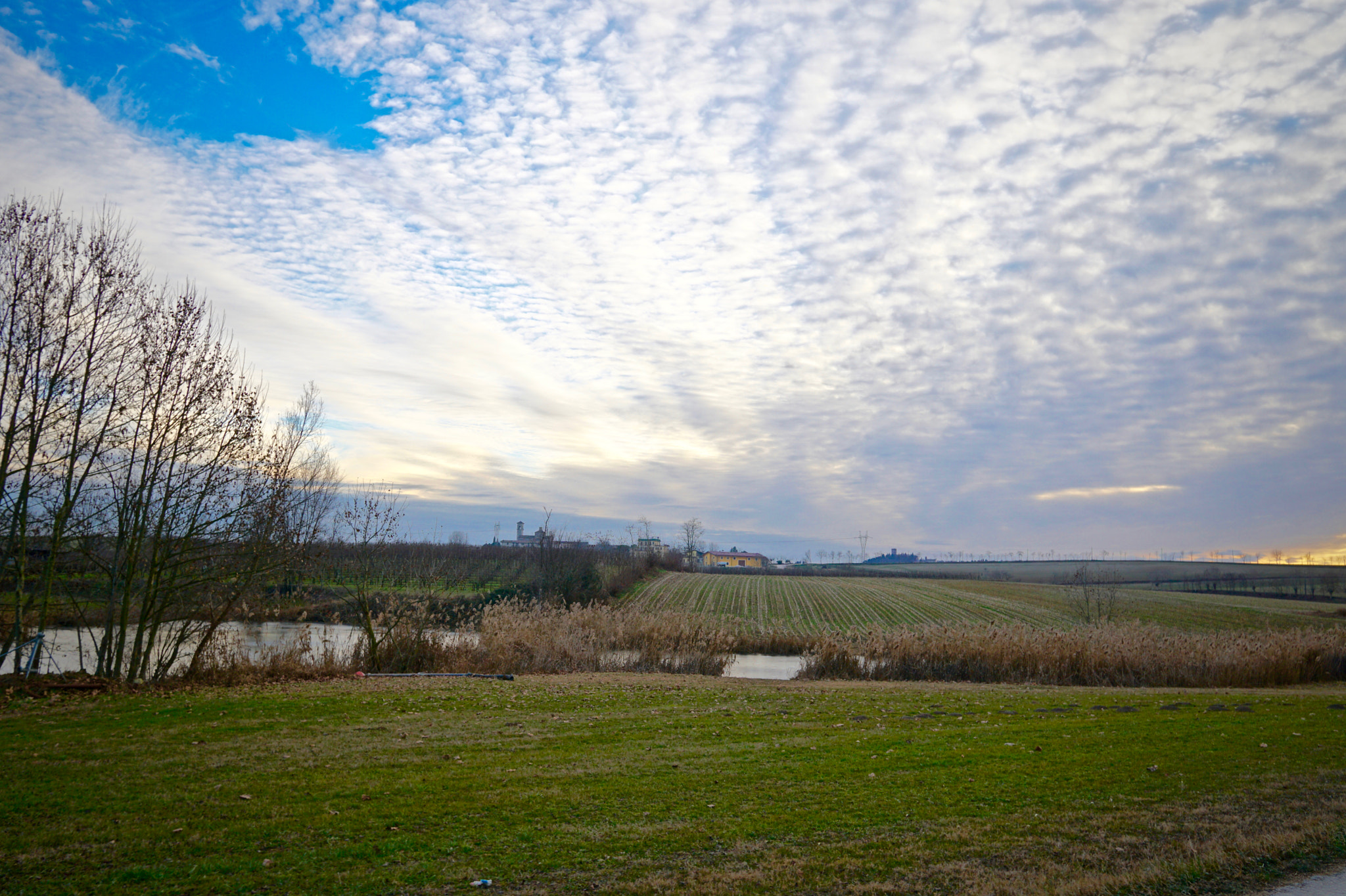 Sony a6300 + Sigma 19mm F2.8 EX DN sample photo. Winter mood photography