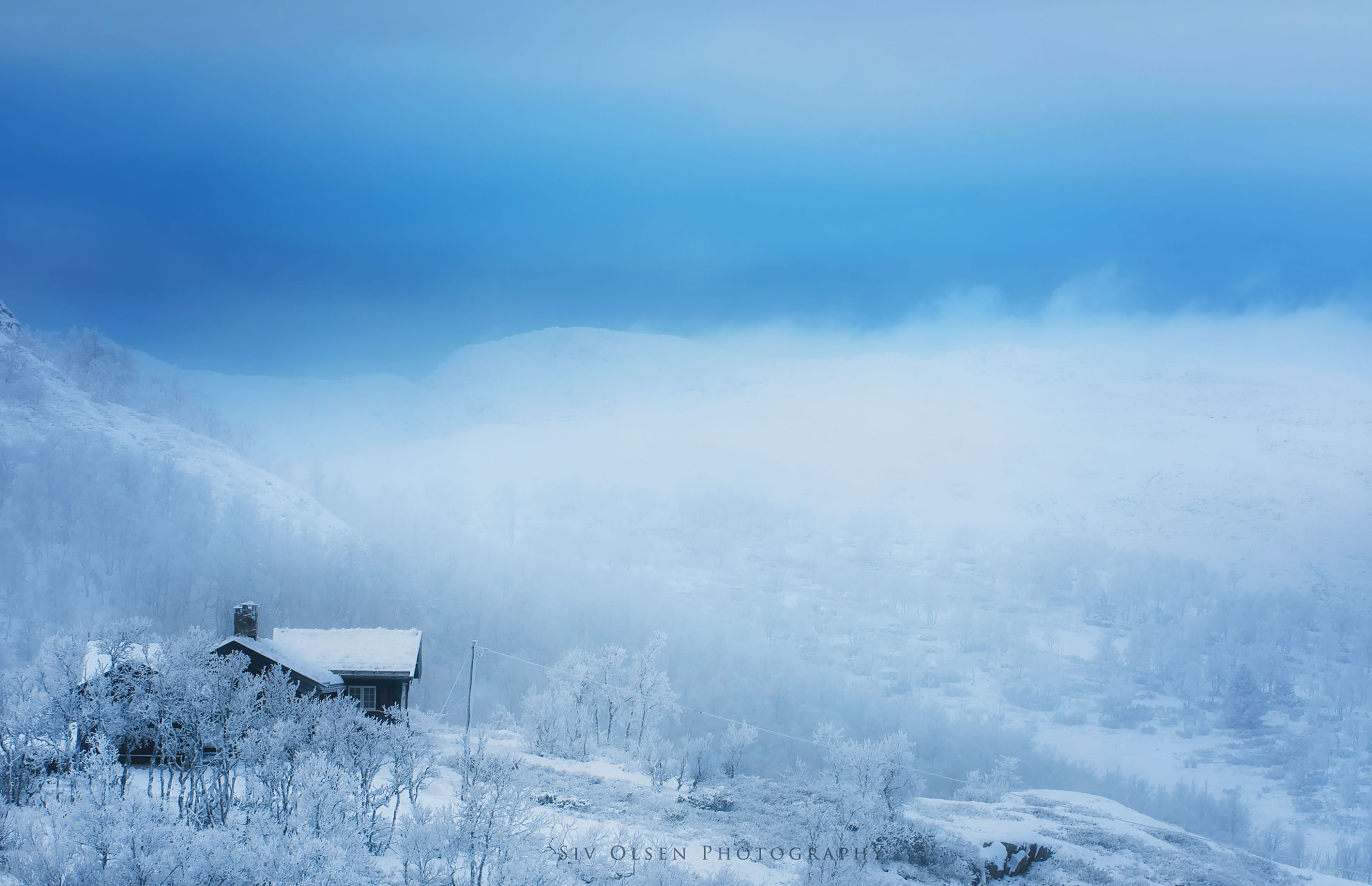 Nikon D300S sample photo. ~ blowing snow ~ photography