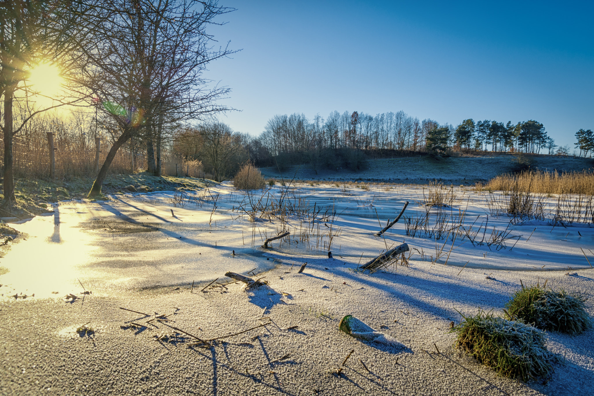 Nikon D7200 + Tamron SP AF 17-50mm F2.8 XR Di II LD Aspherical (IF) sample photo. Frozen meadow photography