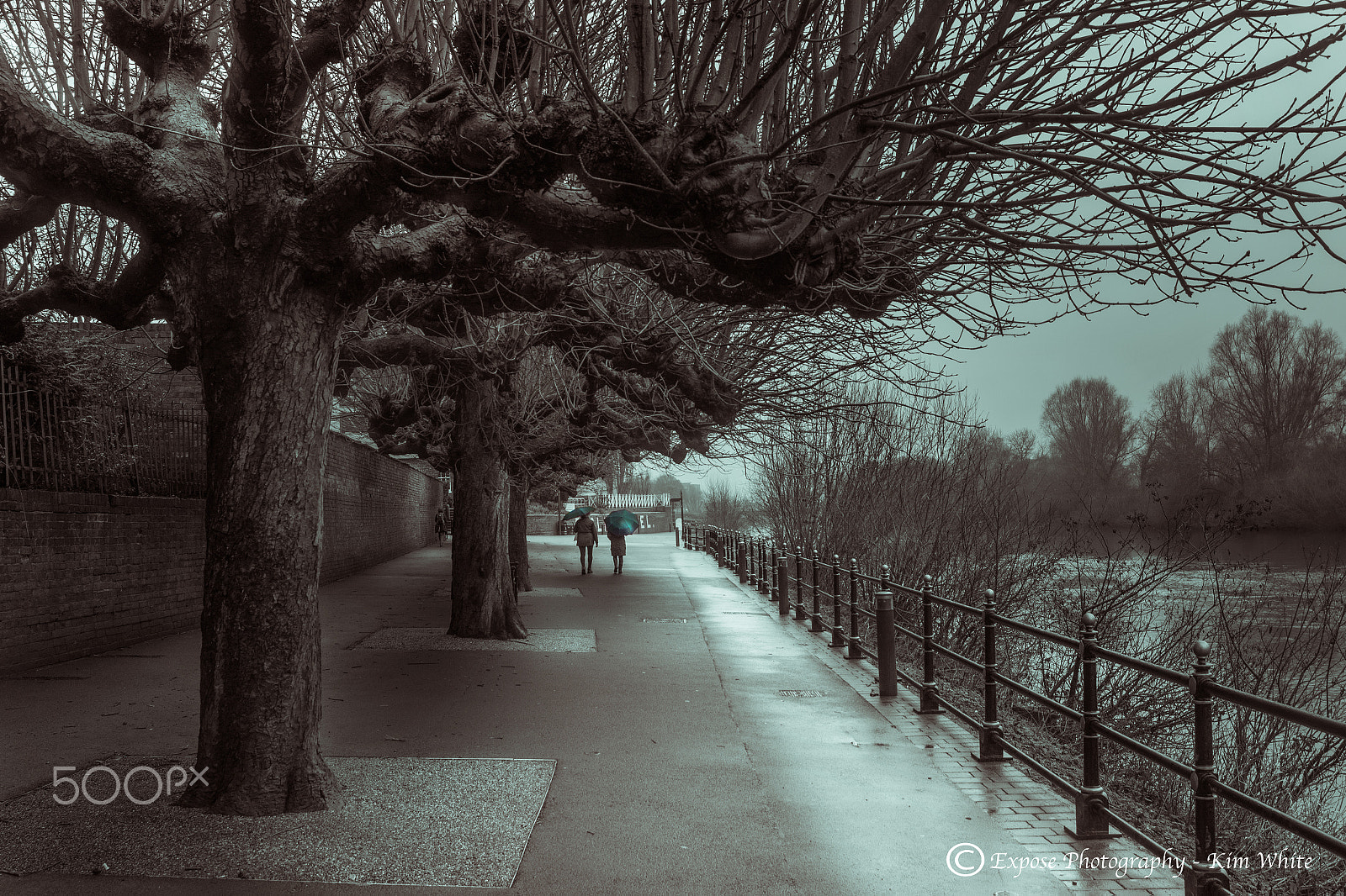 Nikon D500 sample photo. Sheltered photography