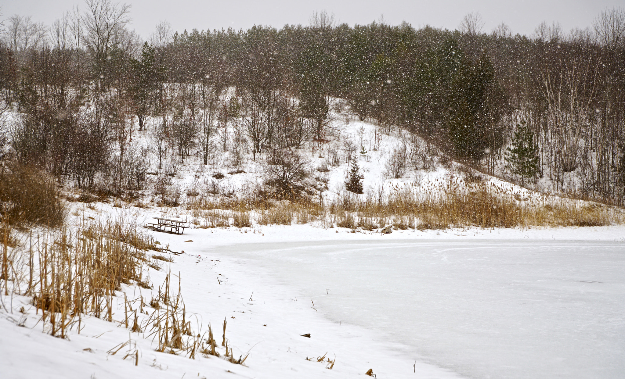 Sony a7R II sample photo. Snowing photography