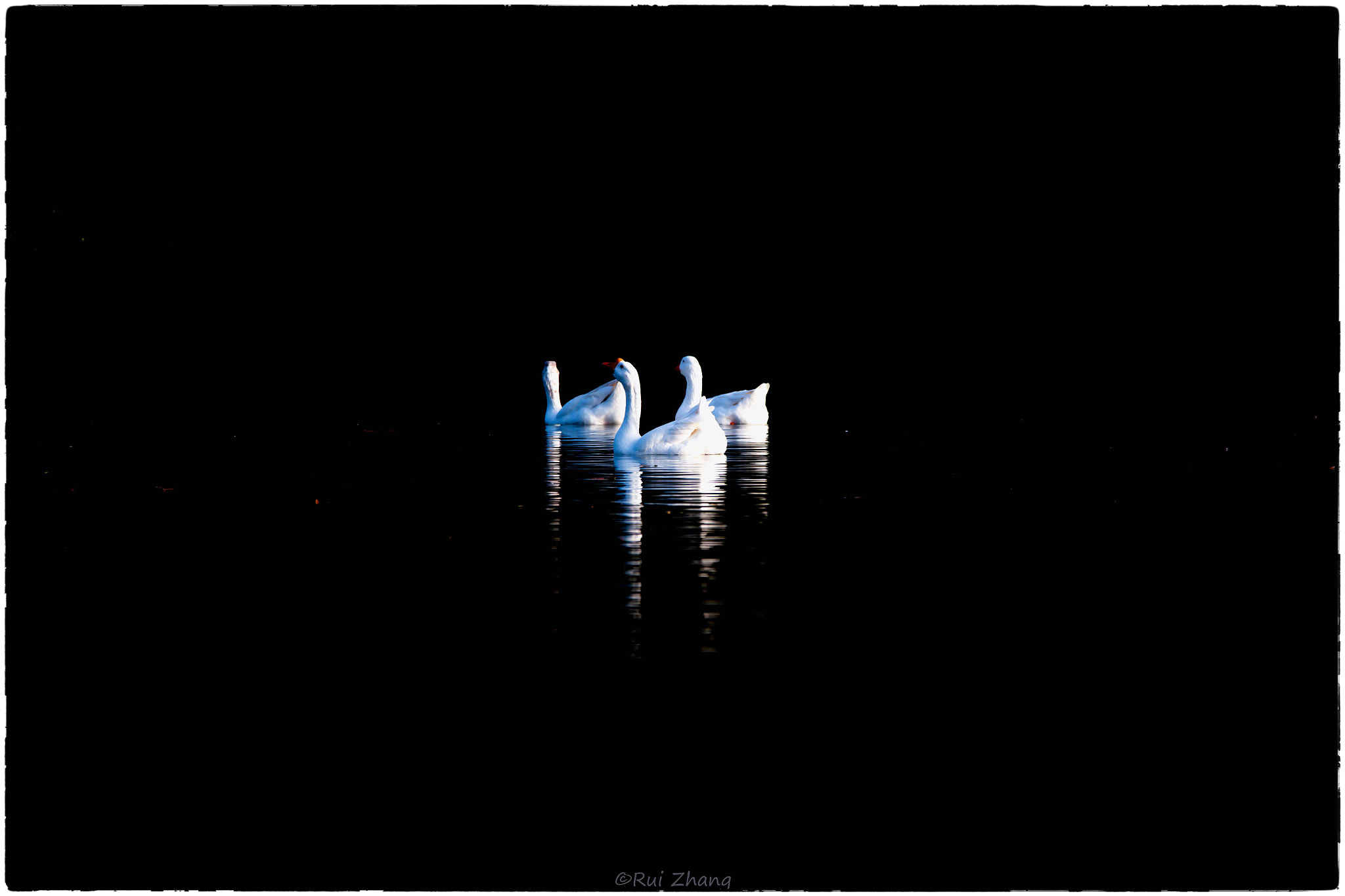 Sigma 150-600mm F5-6.3 DG OS HSM | C sample photo. Serenity photography
