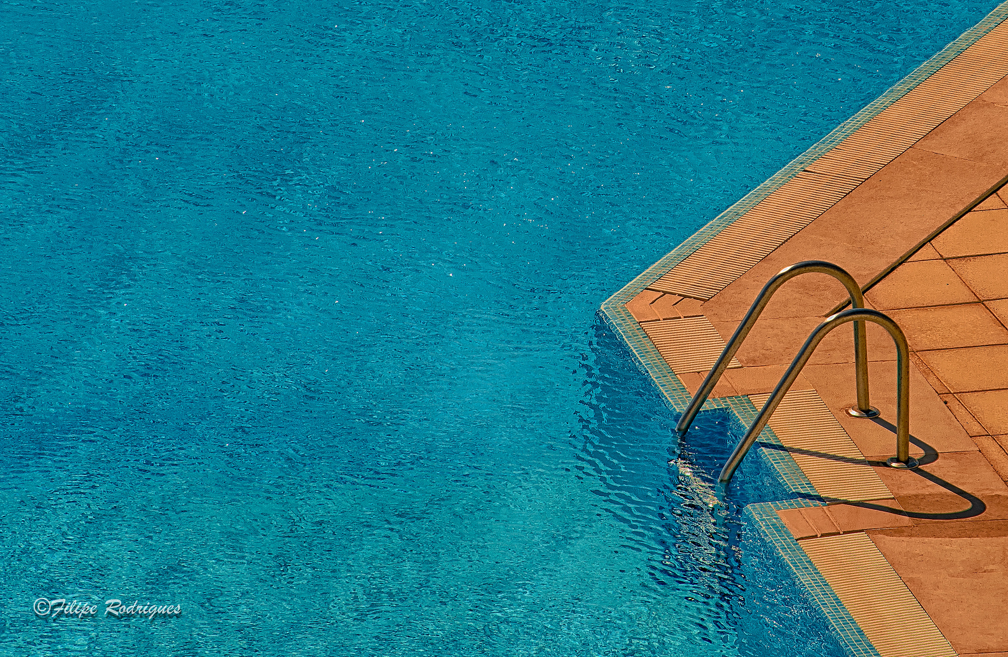 Nikon D800E sample photo. 7th floor dive photography