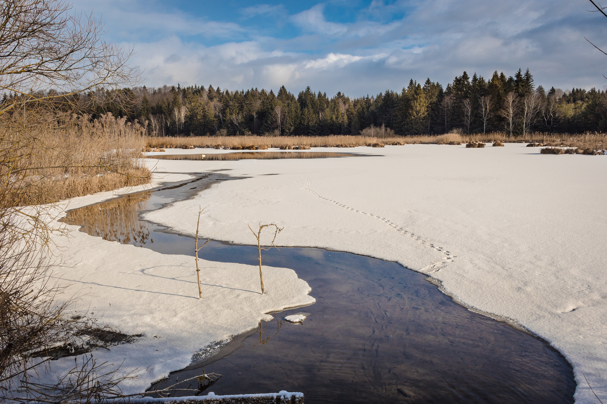 Canon EF-S 18-55mm F3.5-5.6 II sample photo. Zellsee photography