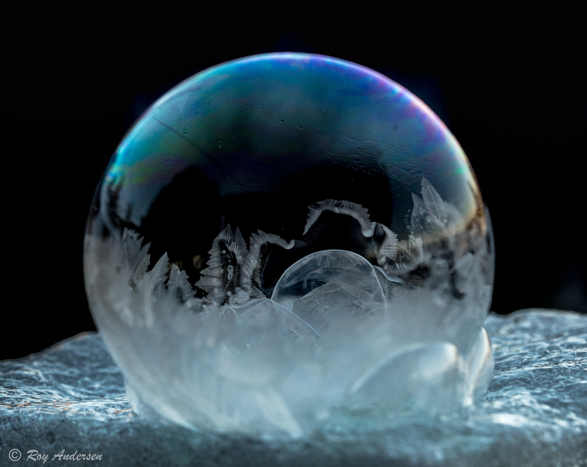 Nikon D750 sample photo. Frozen bubble photography