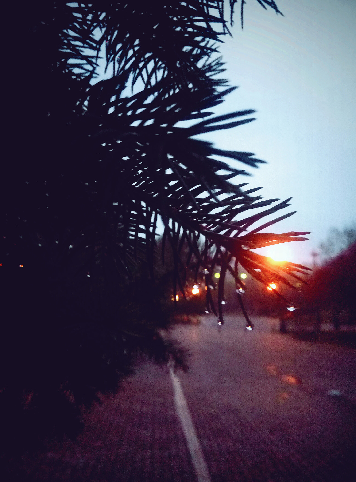 Meizu m2 sample photo
