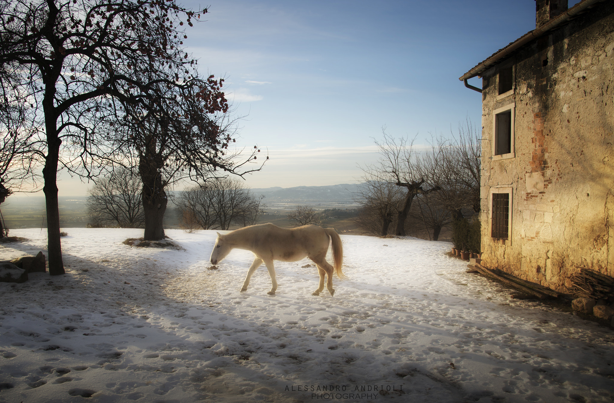 Nikon Df sample photo. Jenny photography