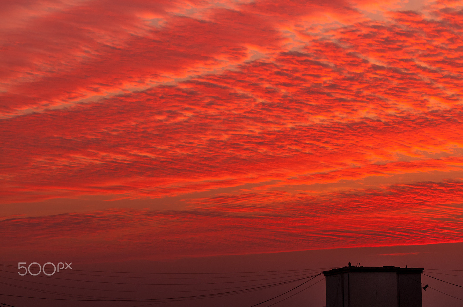 Nikon D300 sample photo. Sky on fire photography
