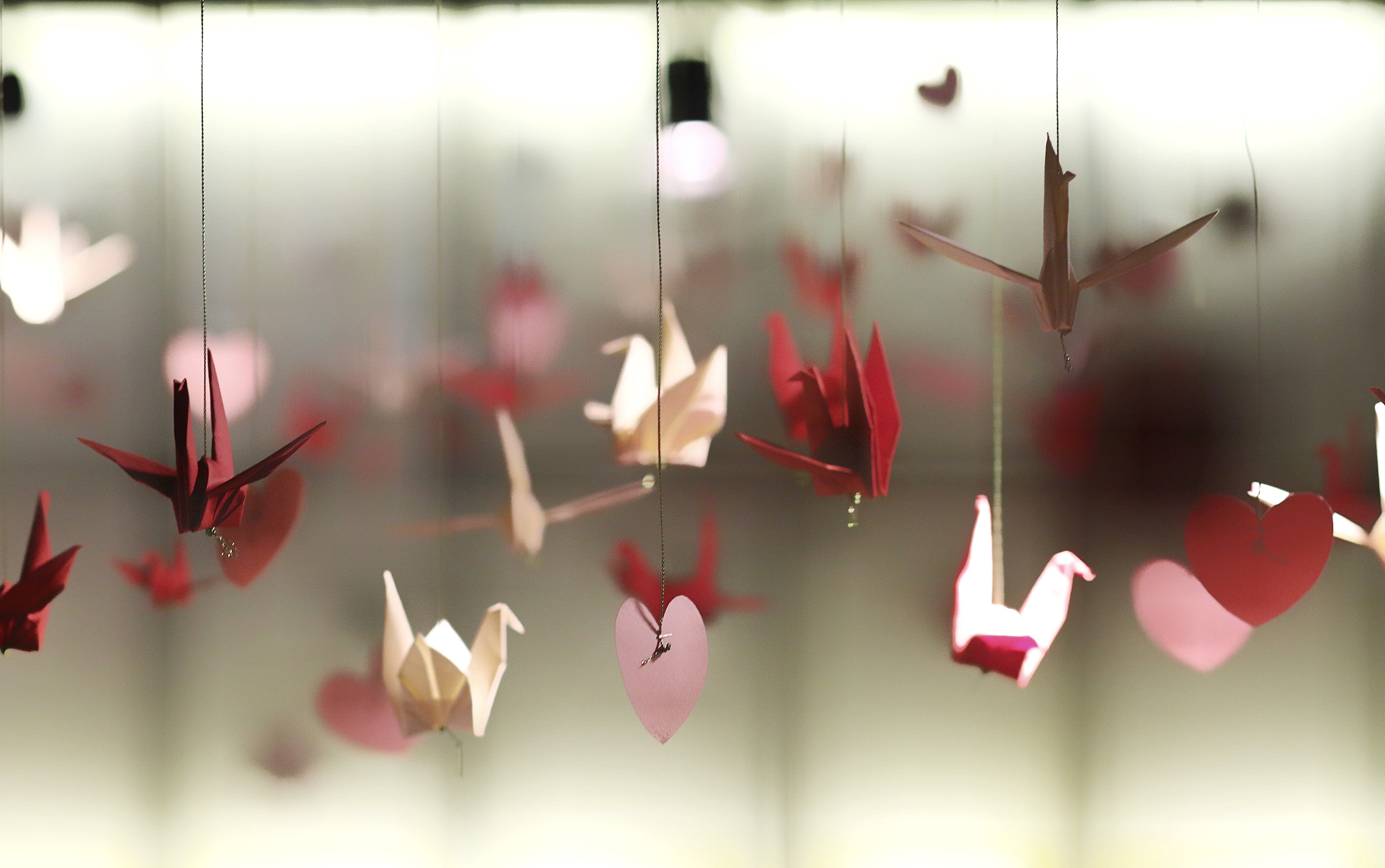 Canon EF 85mm F1.8 USM sample photo. 당신의 꿈 photography