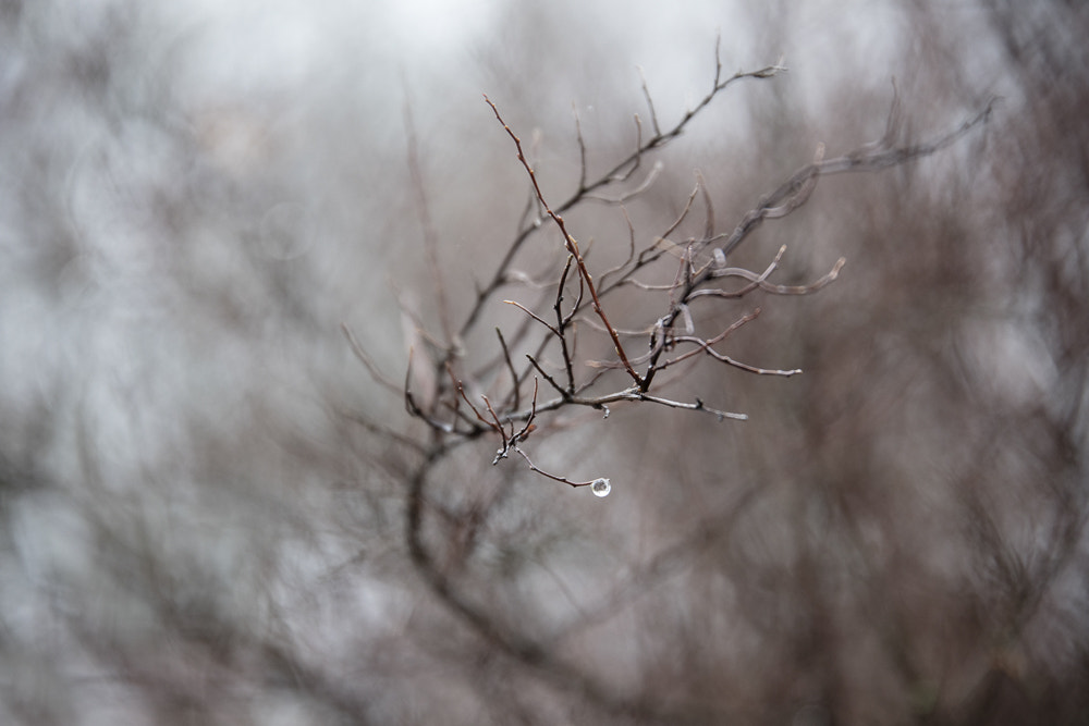 Canon EOS 5DS sample photo. Silence photography