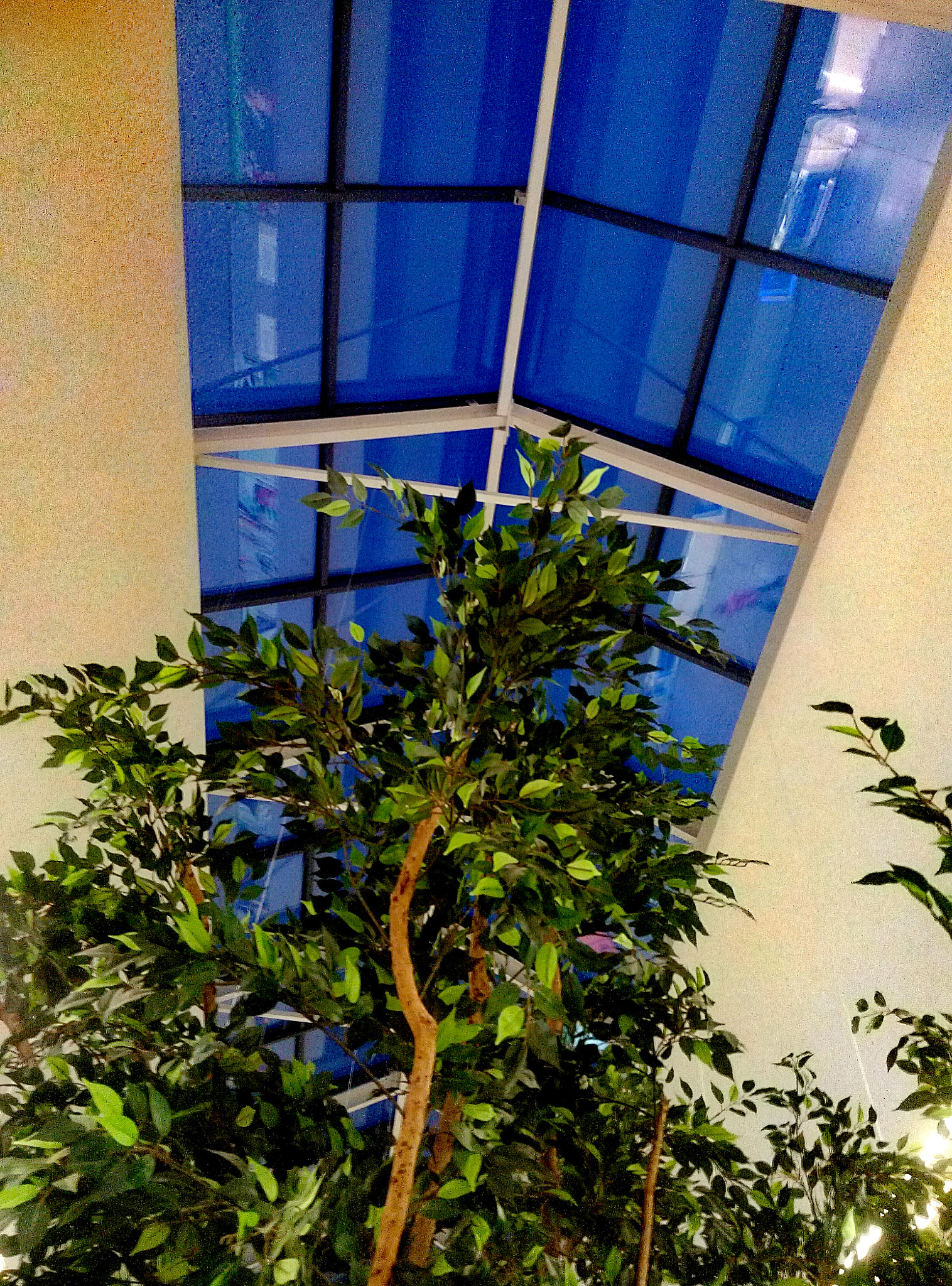 Meizu m2 sample photo