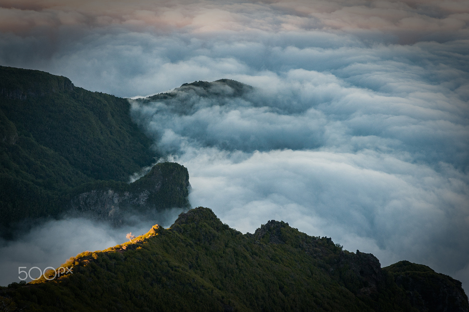 Nikon D300S sample photo. Pico ruivo, madeira, portugal photography