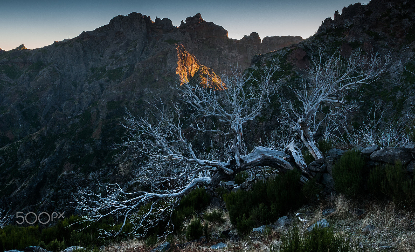 Nikon D300S sample photo. Pico ruivo, madeira, portugal photography