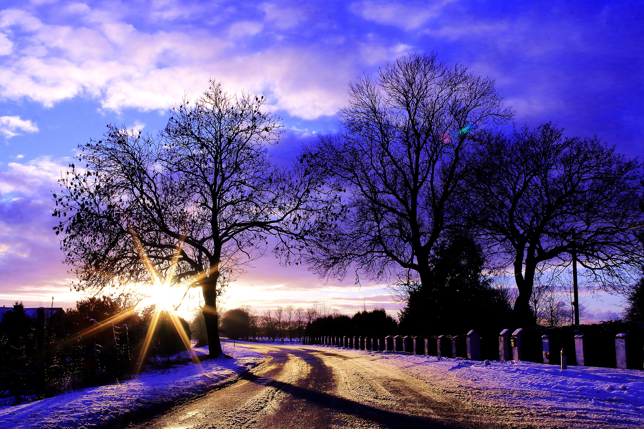 Canon EF 24mm F1.4L II USM sample photo. Winter photography