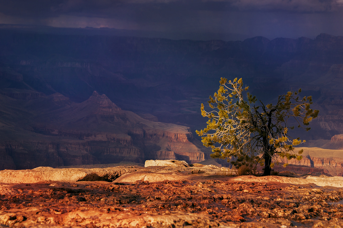 Canon EF 28-135mm F3.5-5.6 IS USM sample photo. Indigo skies photography