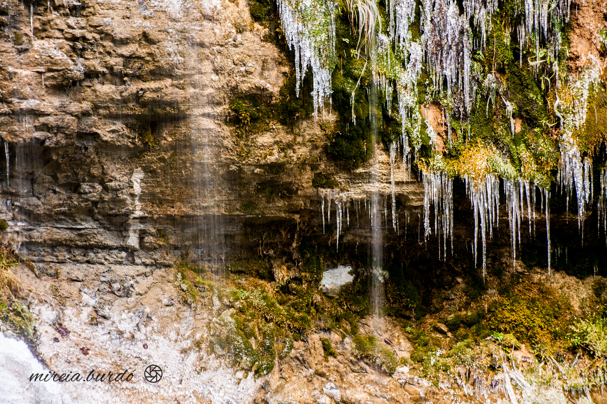 Canon EOS 1000D (EOS Digital Rebel XS / EOS Kiss F) sample photo. Winter on ice• photography