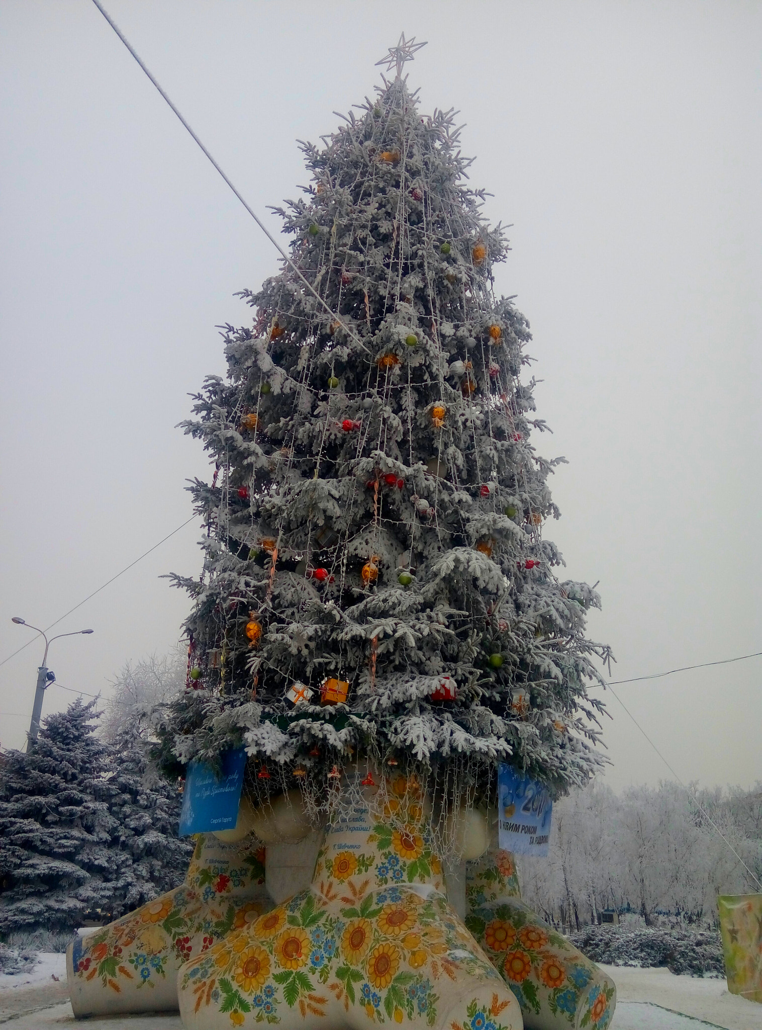 Meizu m2 sample photo