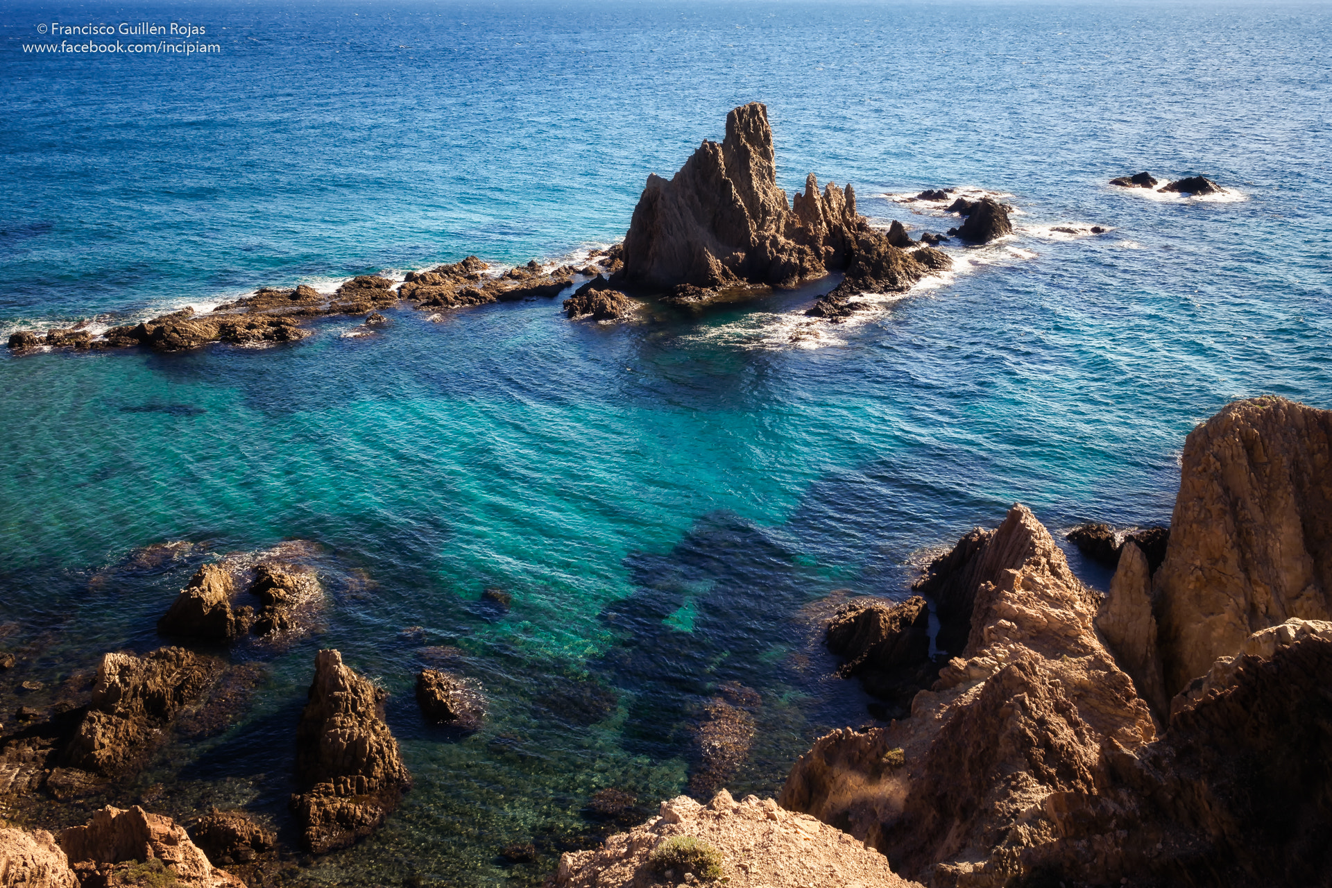 Olympus OM-D E-M5 II + Olympus M.Zuiko Digital 17mm F1.8 sample photo. Mermaids reef in green photography