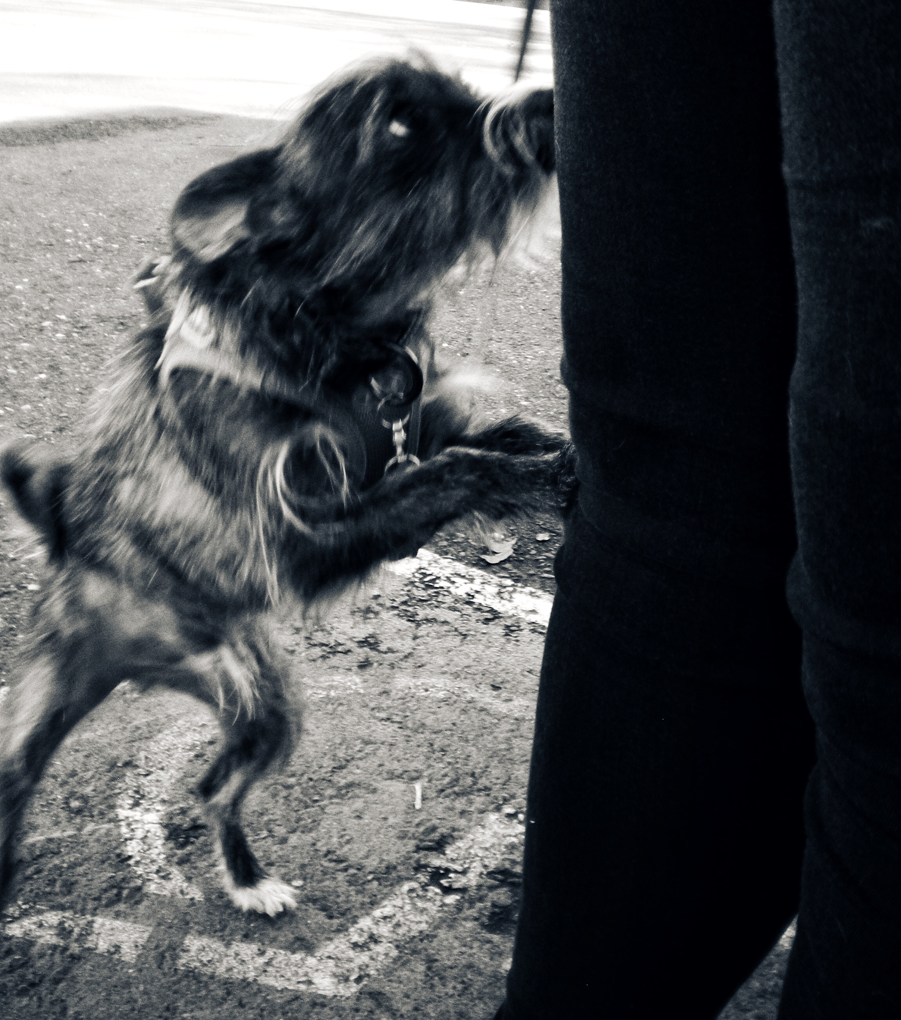 Nikon COOLPIX L14 sample photo. 'frankie d' photography