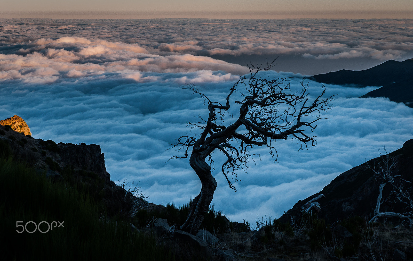 Nikon D300S sample photo. Pico ruivo, madeira, portugal photography