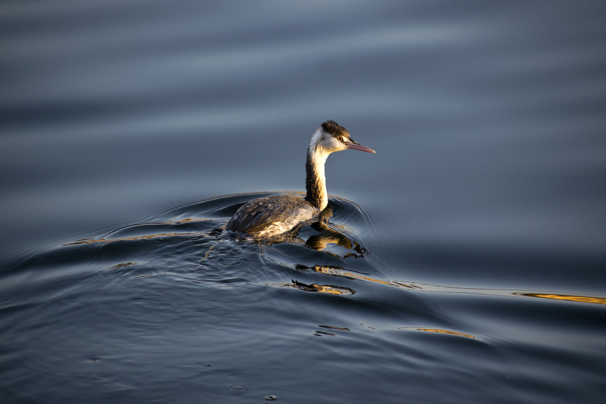 Sigma 18-250mm F3.5-6.3 DC Macro OS HSM sample photo. Lake photography