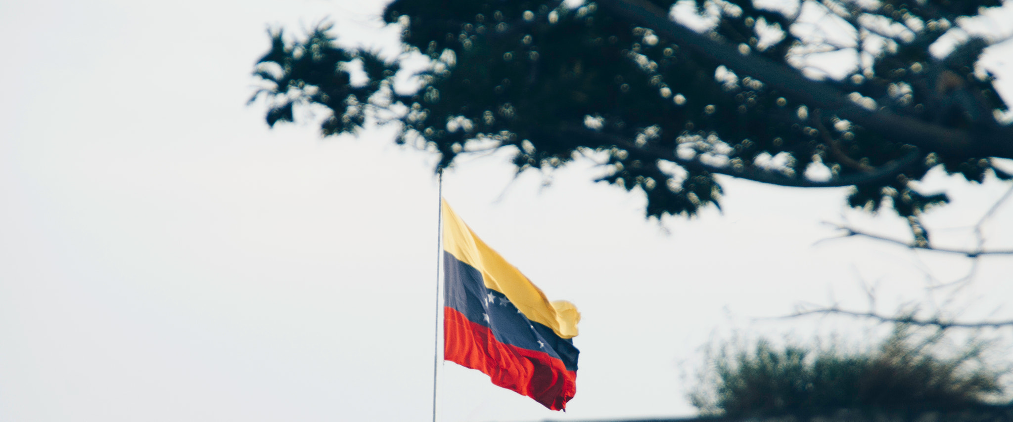 Canon EOS 1100D (EOS Rebel T3 / EOS Kiss X50) sample photo. My flag photography