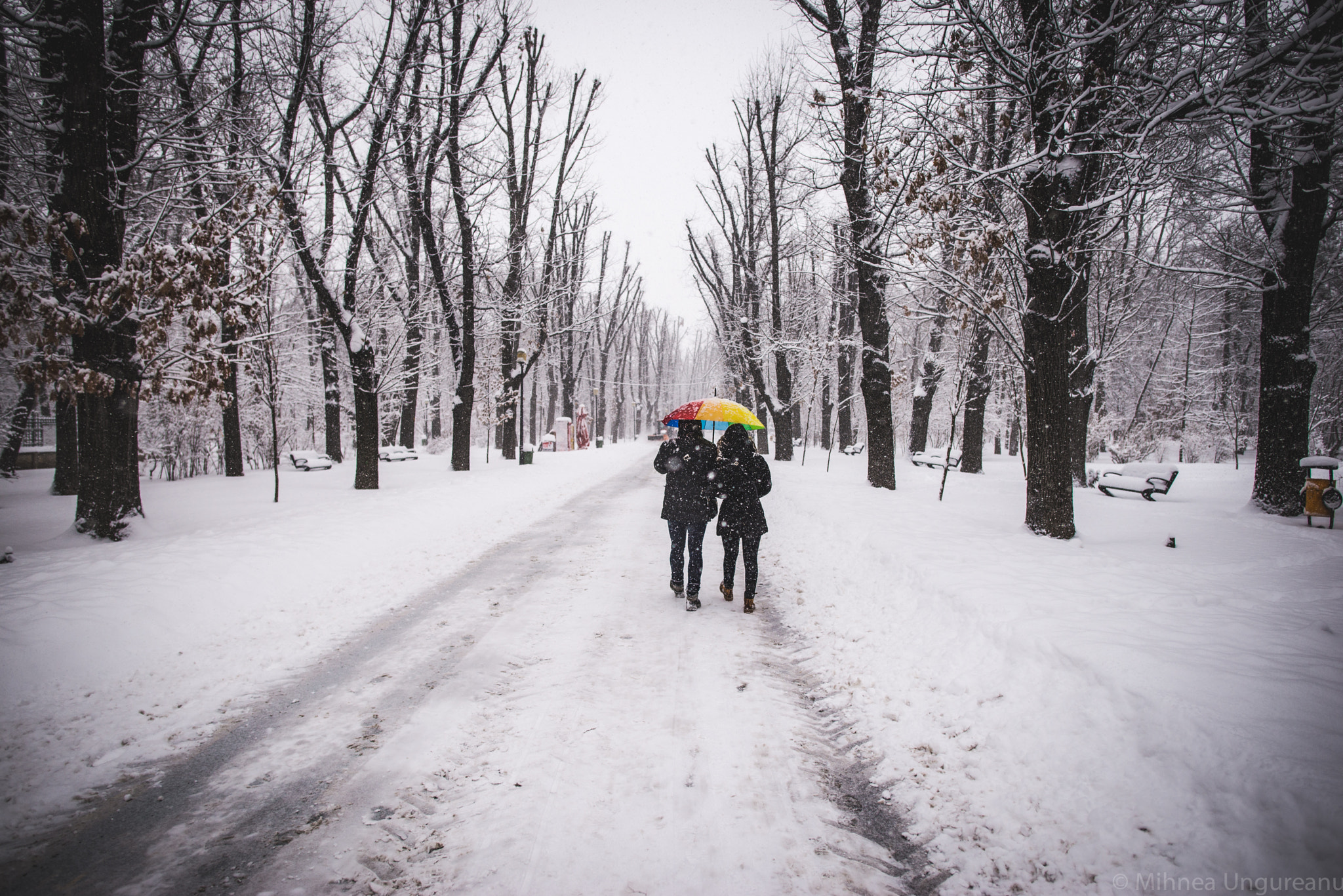 Nikon D610 sample photo. Colours & snow photography