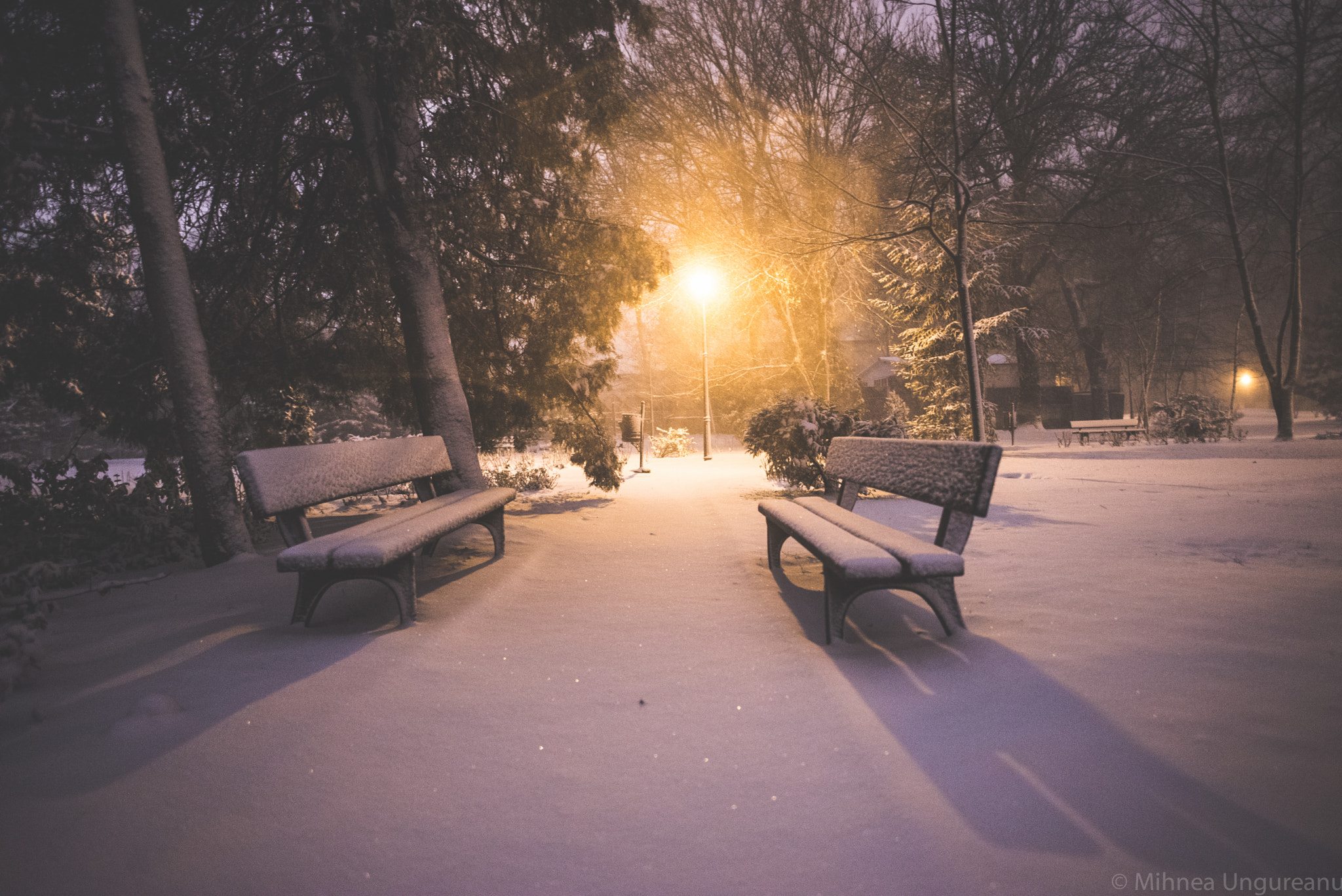 Nikon D610 + Nikon AF-S Nikkor 20mm F1.8G ED sample photo. Winter park photography
