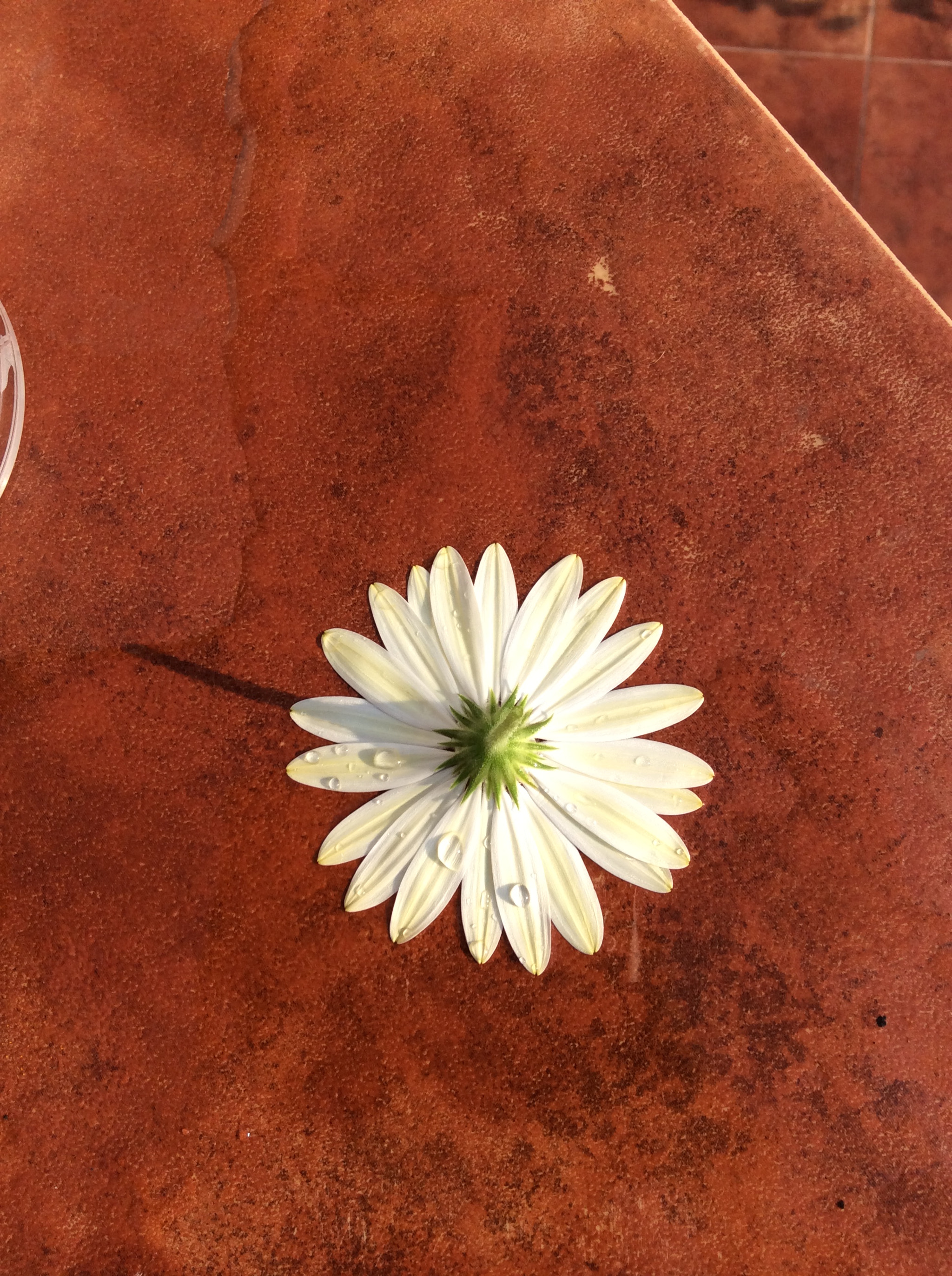 Apple iPad mini 3 sample photo