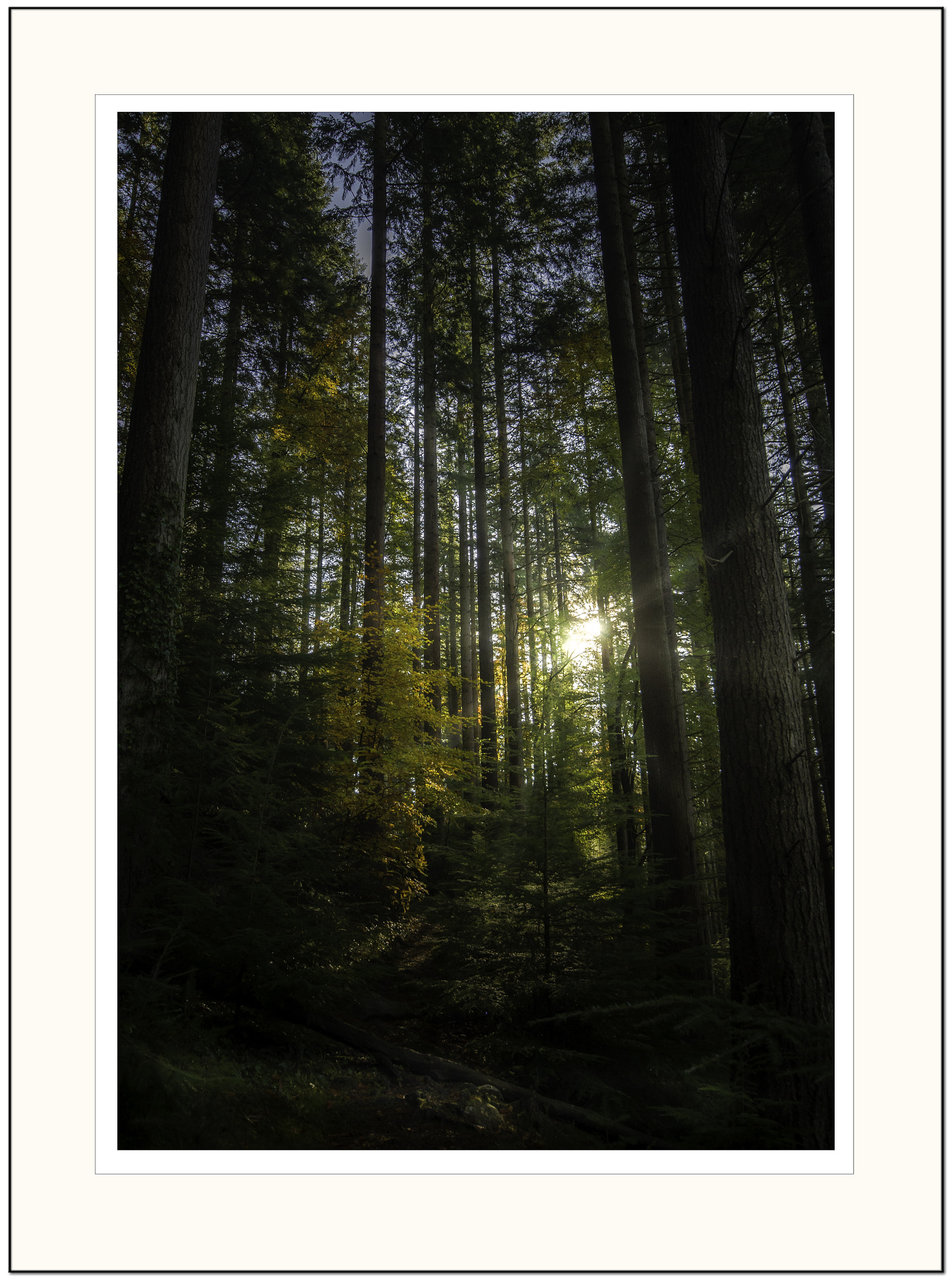 Sigma AF 10-20mm F4-5.6 EX DC sample photo. Remembering snowdonia autumn photography