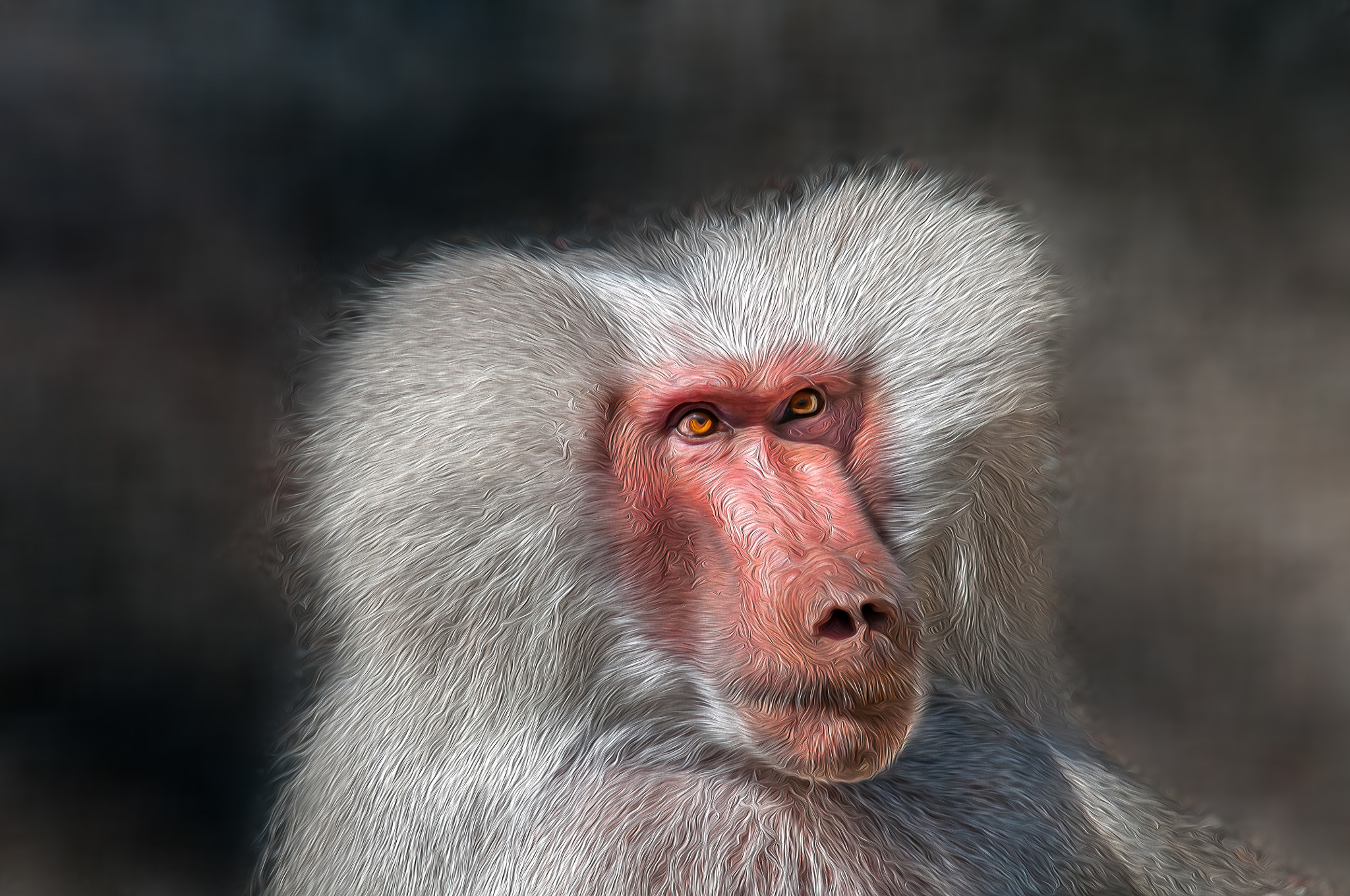 Nikon D300S sample photo. Look at me ... photography