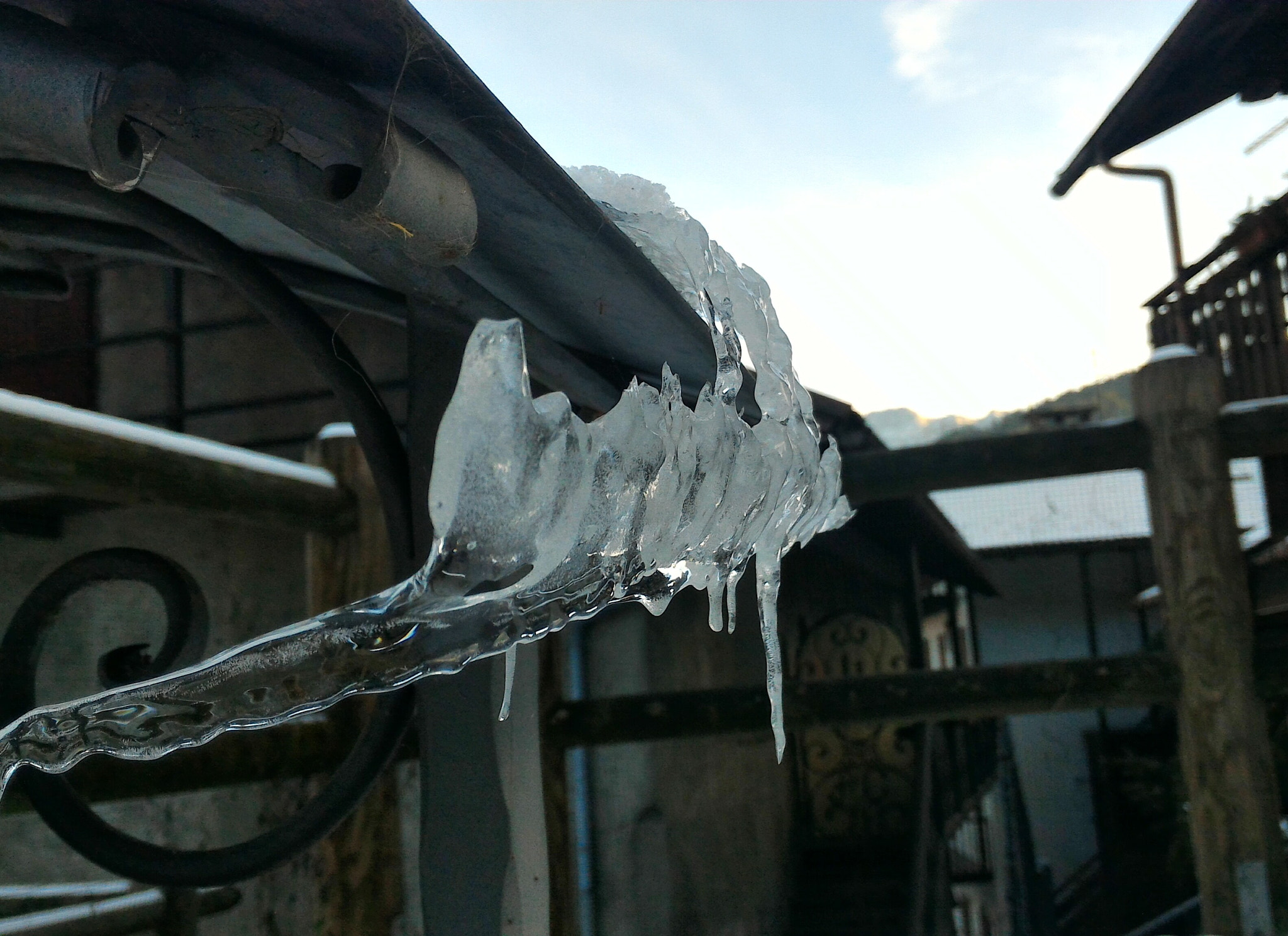ASUS Z008D sample photo. Frozen photography