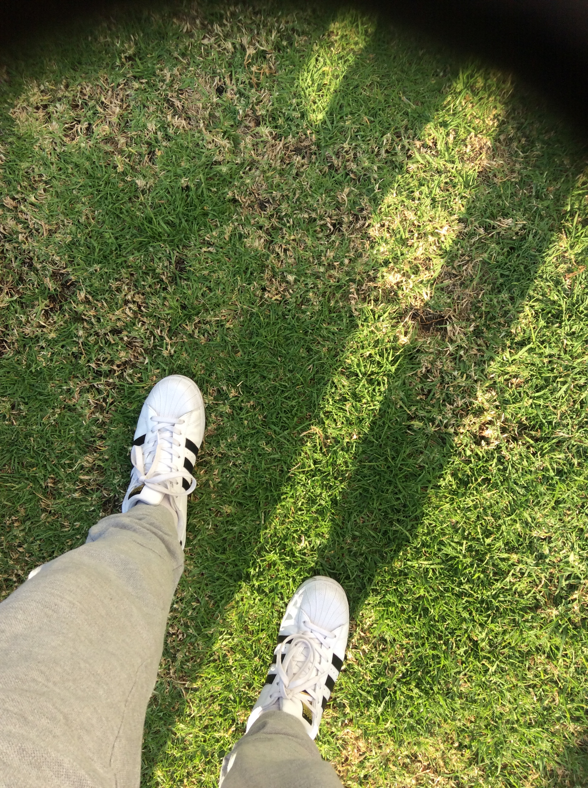 Apple iPad mini 3 sample photo