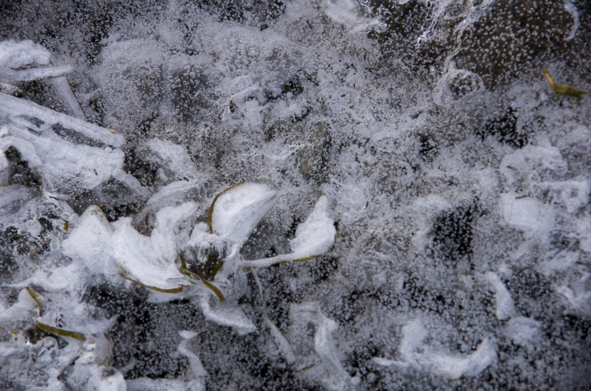 Pentax K-5 sample photo. Ugovizza photography