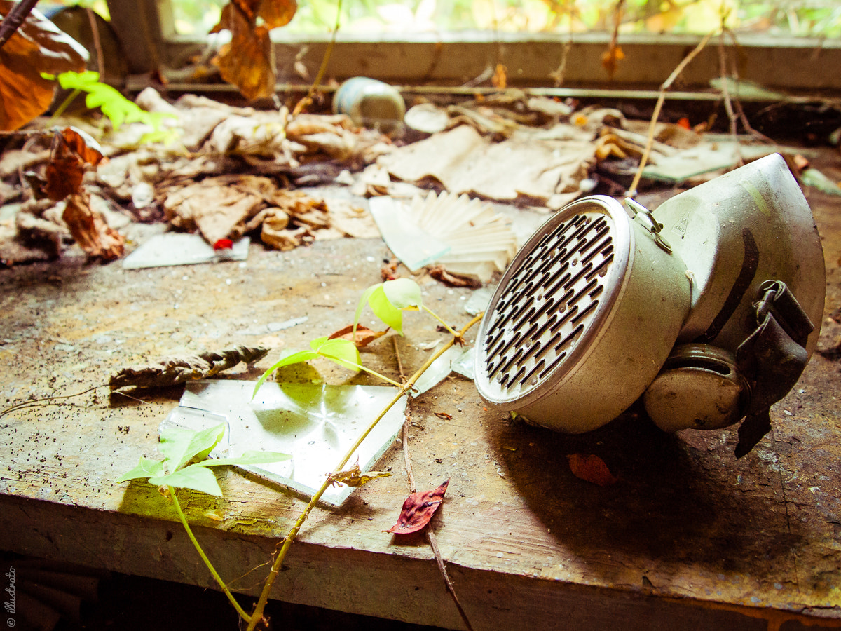 Olympus PEN E-P1 sample photo. Fallout photography