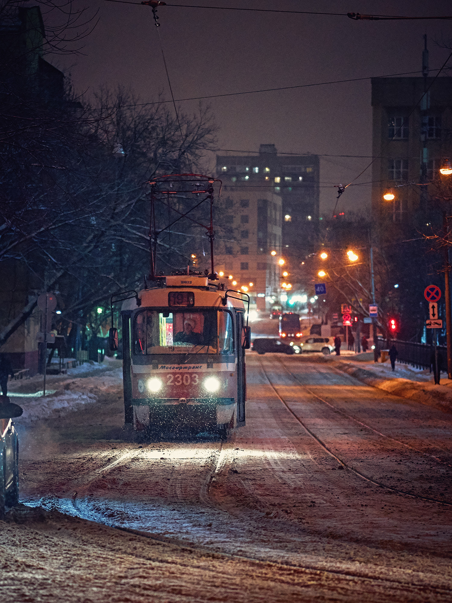 ZEISS Loxia 85mm F2.4 sample photo. Let it snow photography