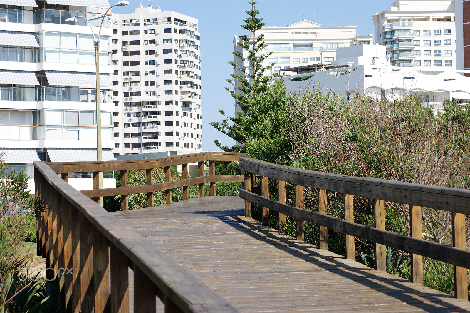 Sony DT 55-200mm F4-5.6 SAM sample photo. Boardwalk 2 photography
