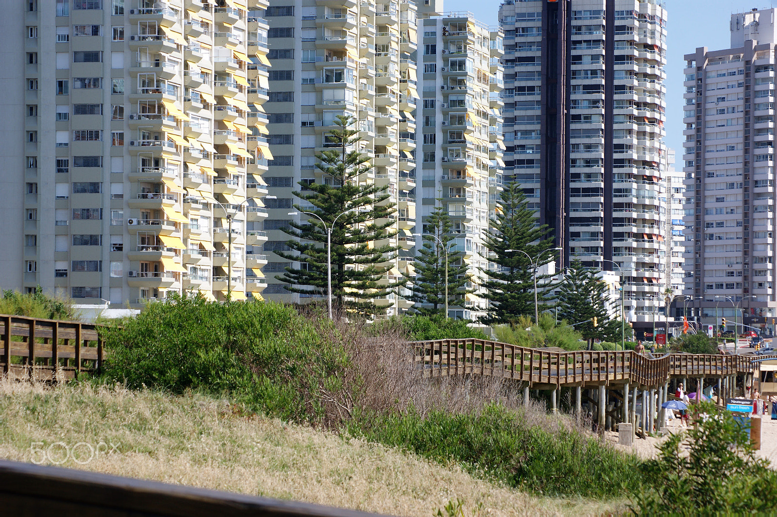 Sony Alpha DSLR-A390 + Sony DT 55-200mm F4-5.6 SAM sample photo. Boardwalk 3 photography