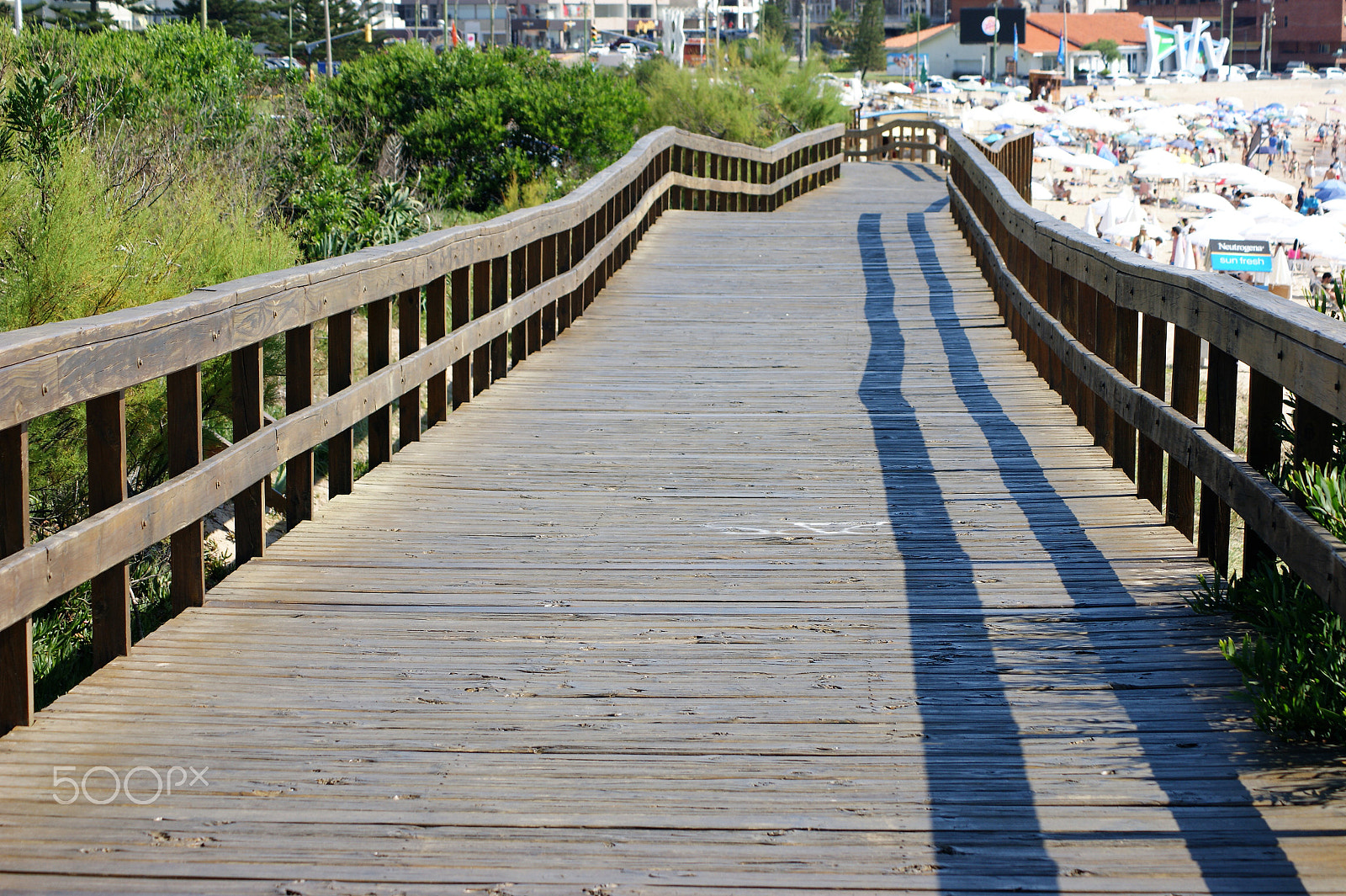 Sony Alpha DSLR-A390 sample photo. Boardwalk 4 photography