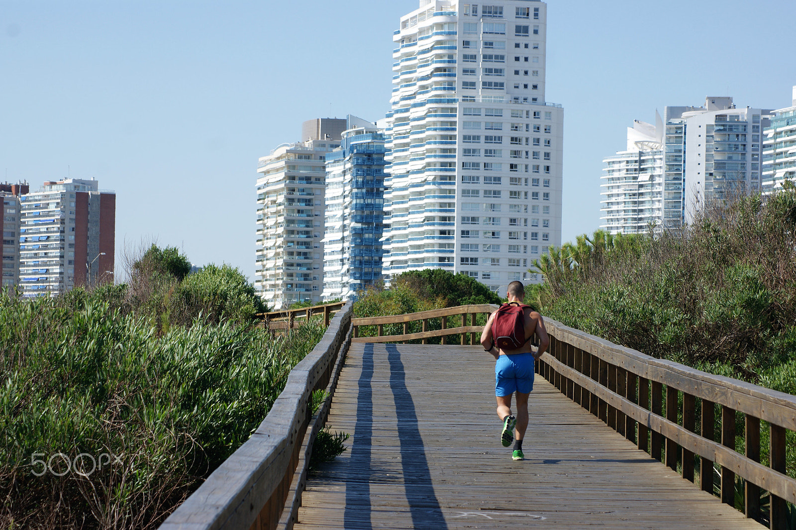 Sony Alpha DSLR-A390 + Sony DT 55-200mm F4-5.6 SAM sample photo. Boardwalk 5 photography