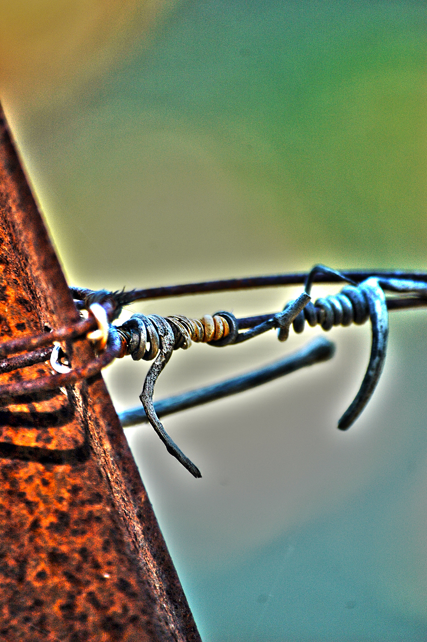 Nikon D70 sample photo. Vigne4 photography