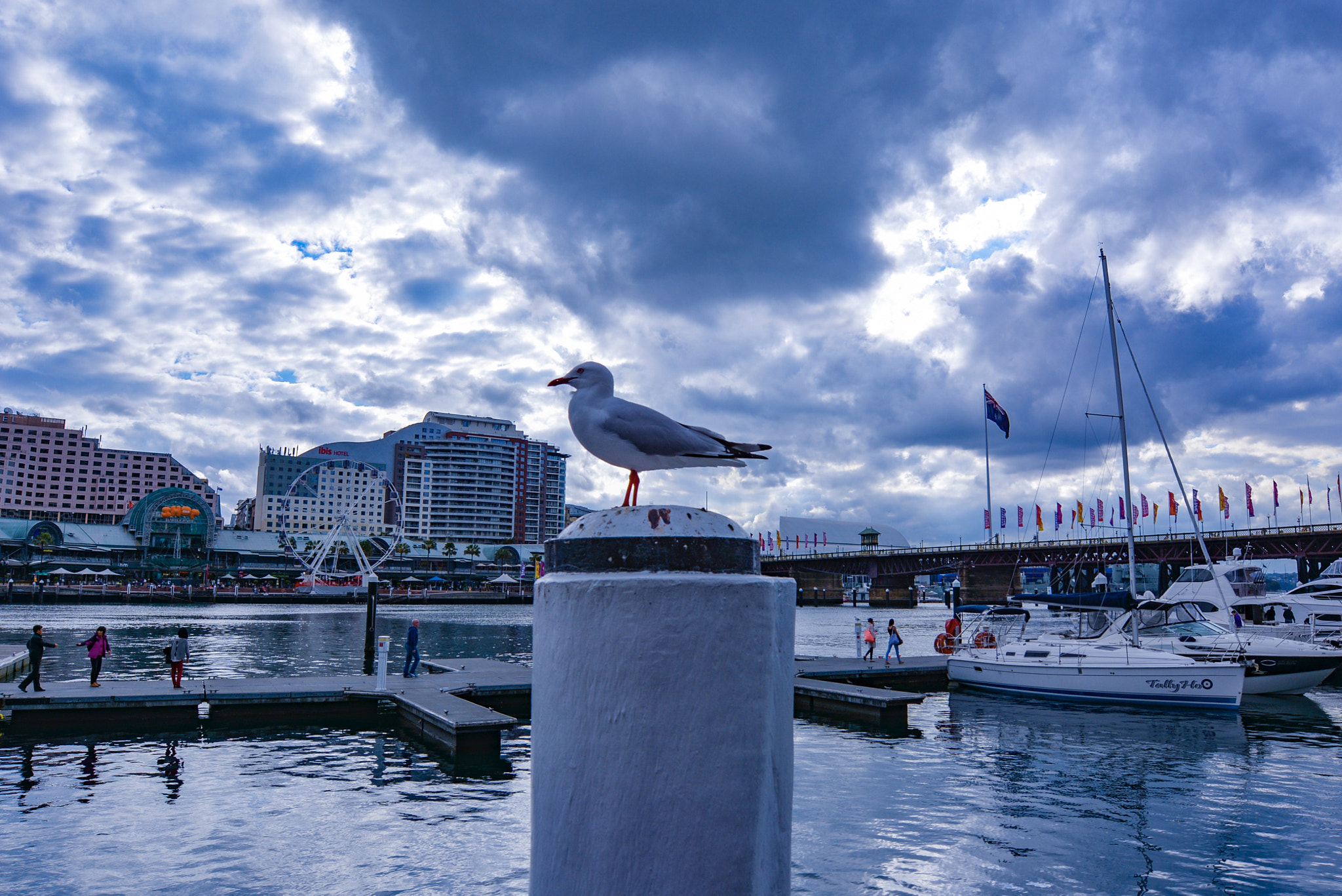Nikon AF-S Nikkor 14-24mm F2.8G ED sample photo