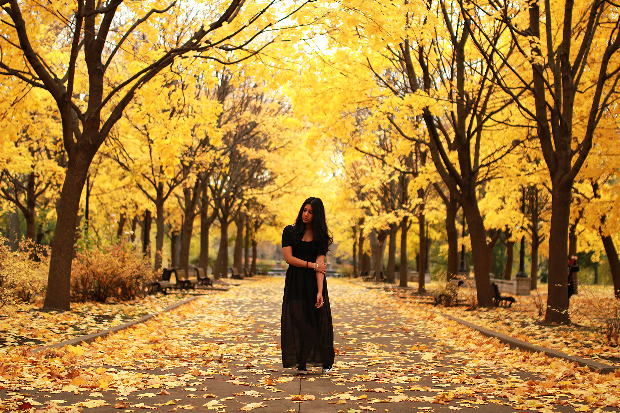Sigma 35mm F1.4 DG HSM Art sample photo. Black and yellow photography