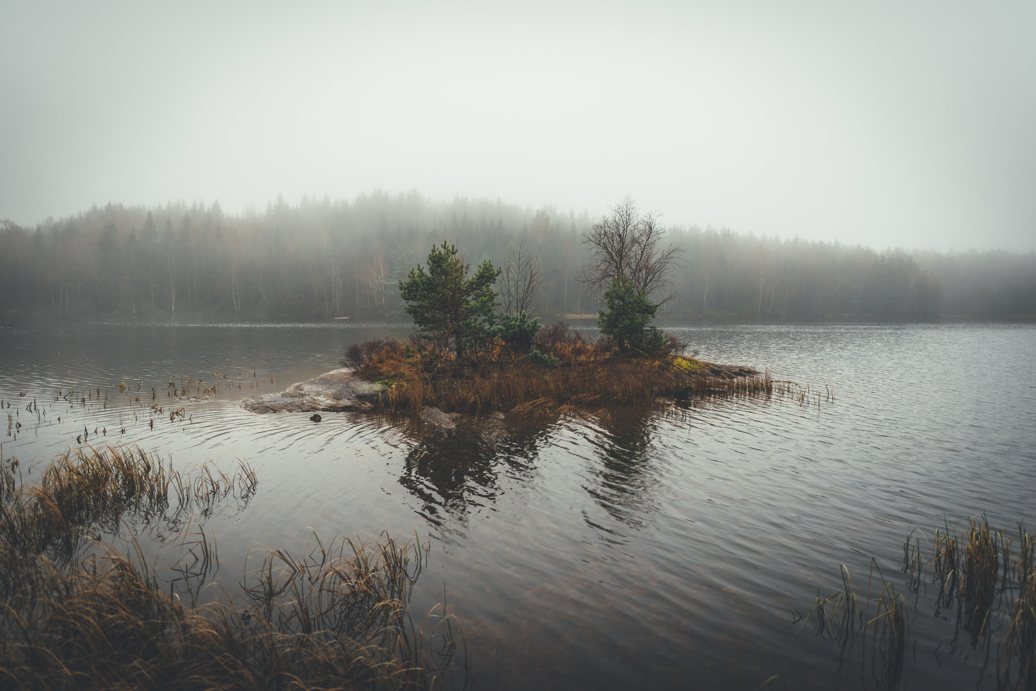 Nikon D610 + Nikon AF-S Nikkor 20mm F1.8G ED sample photo. Moody morning photography