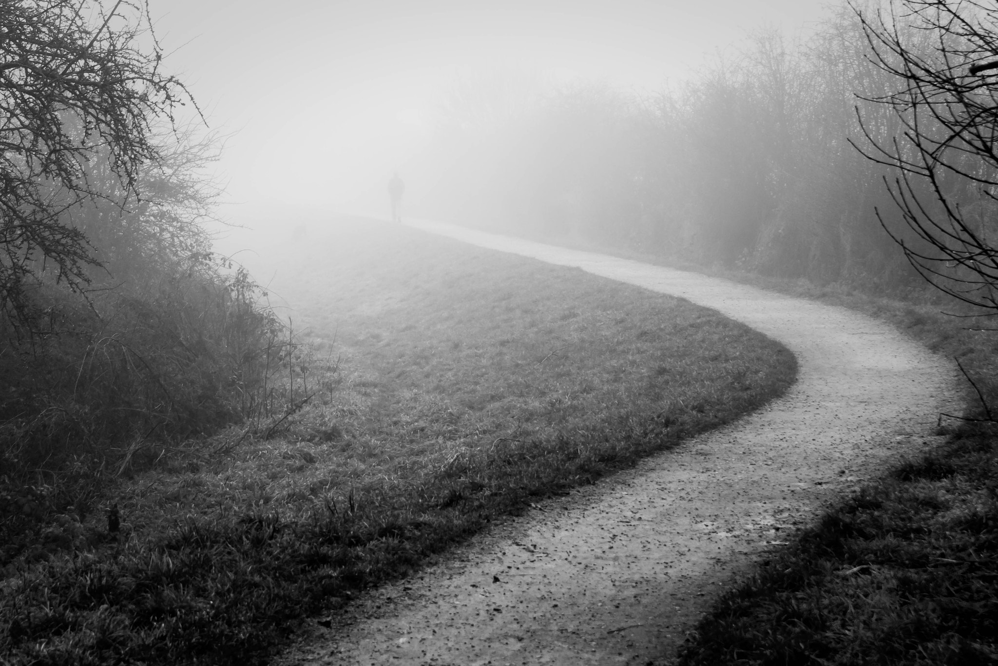 Sigma 18-50mm f/2.8 Macro sample photo. In to the mist photography