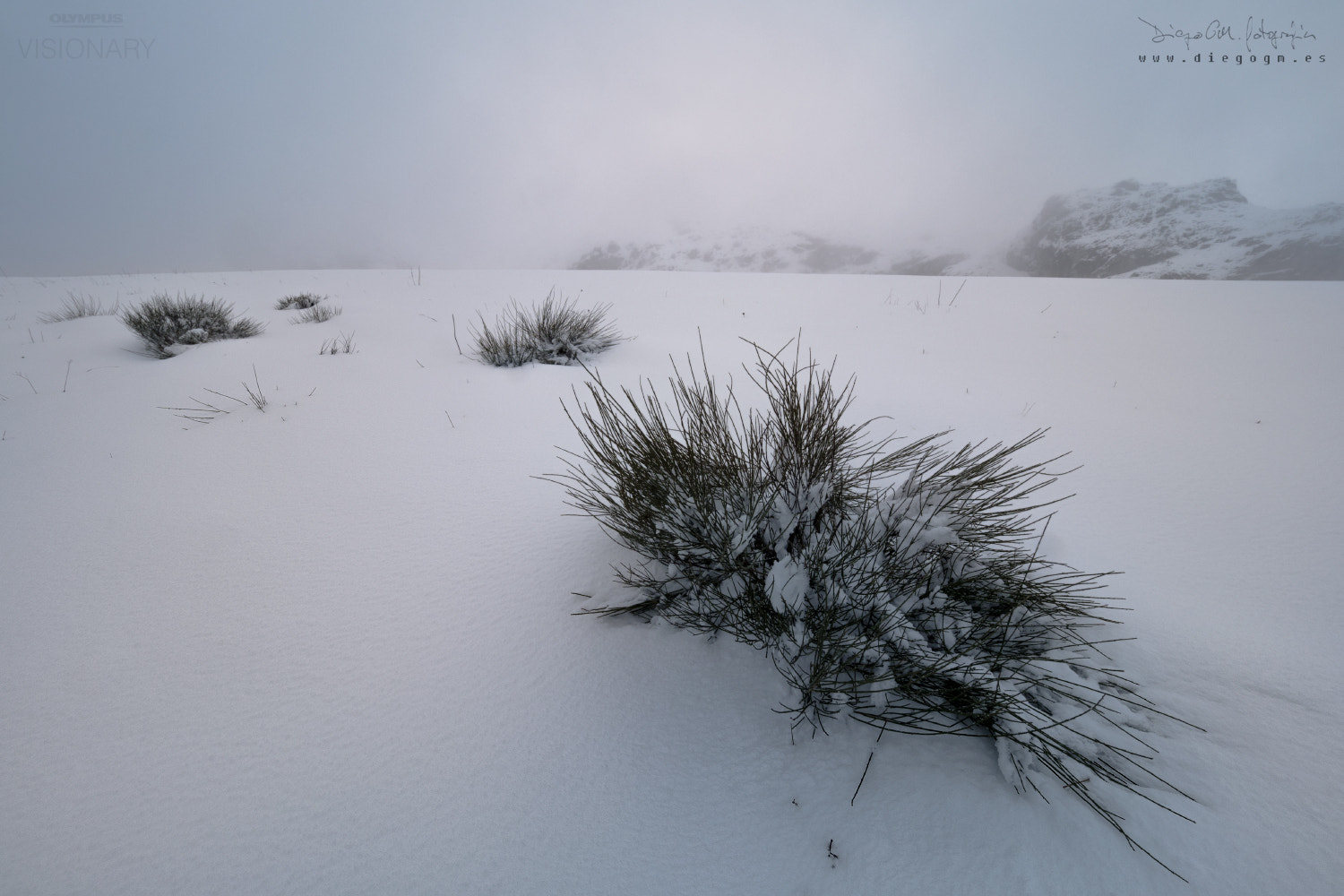 Olympus OM-D E-M1 Mark II + Olympus M.Zuiko Digital ED 7-14mm F2.8 PRO sample photo. Cold minimalism photography