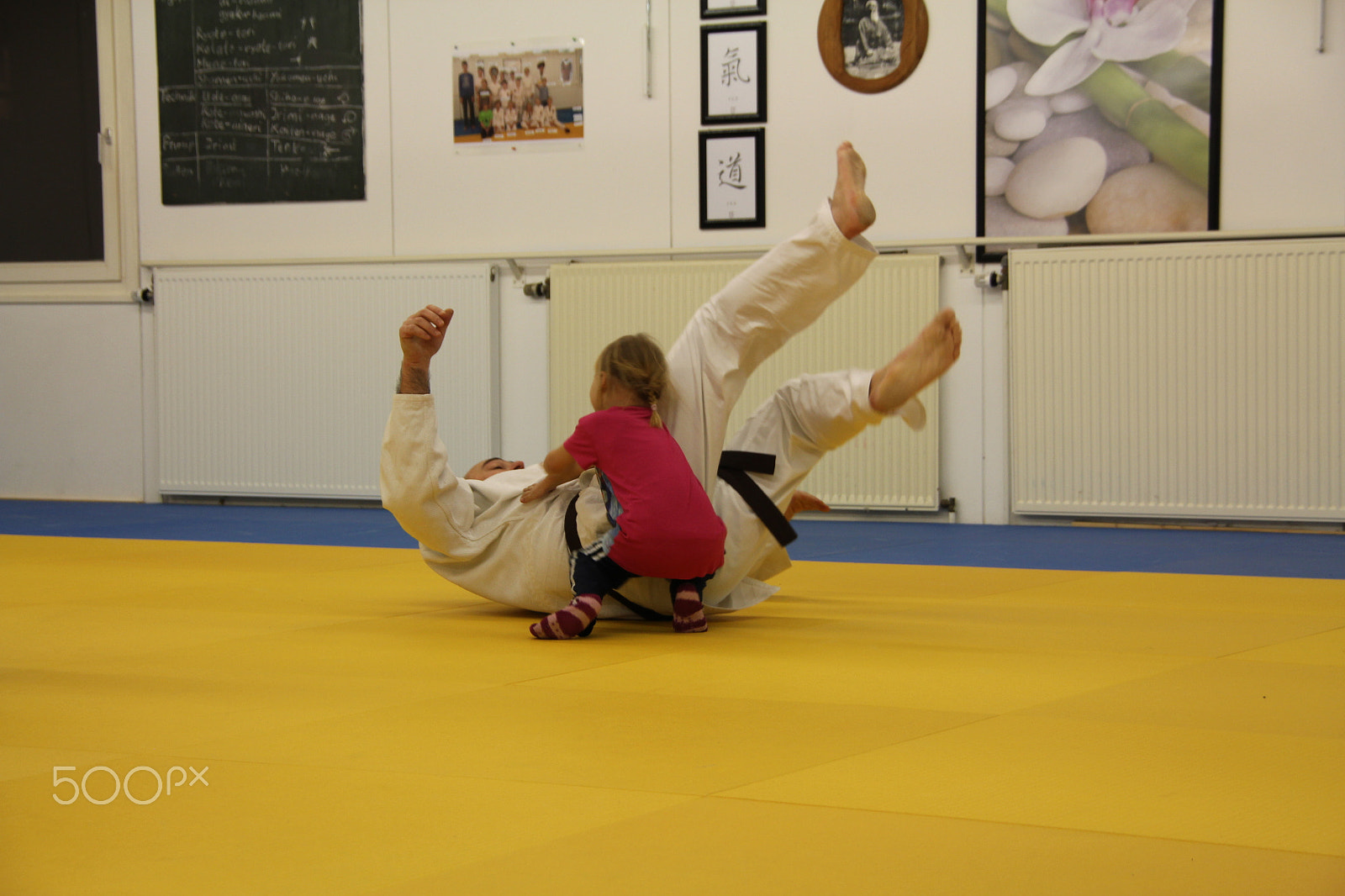 Canon EOS 550D (EOS Rebel T2i / EOS Kiss X4) sample photo. Girl fights the trainer down photography