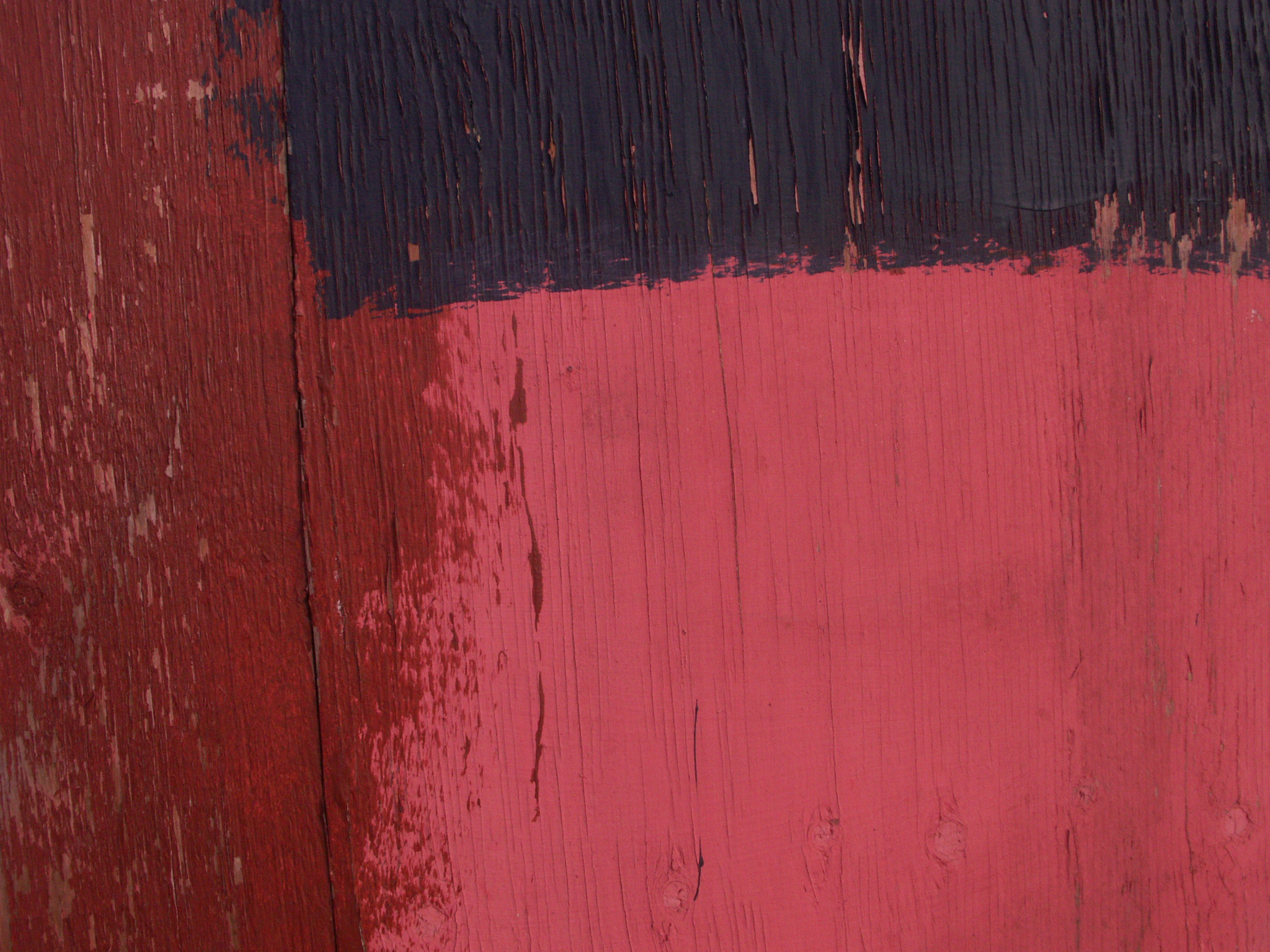 KONICA MINOLTA DiMAGE Z6 sample photo. Tri - colore photography