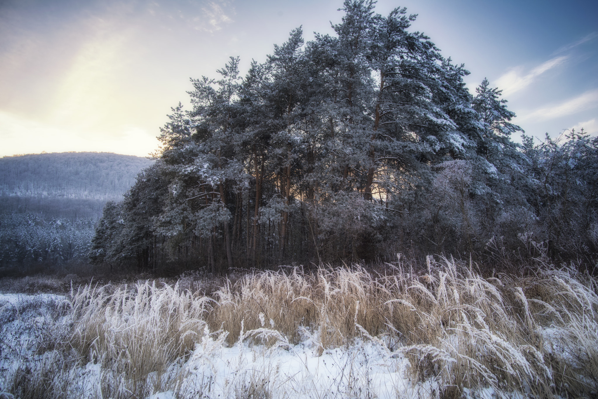 Nikon D600 sample photo. Winter mood photography