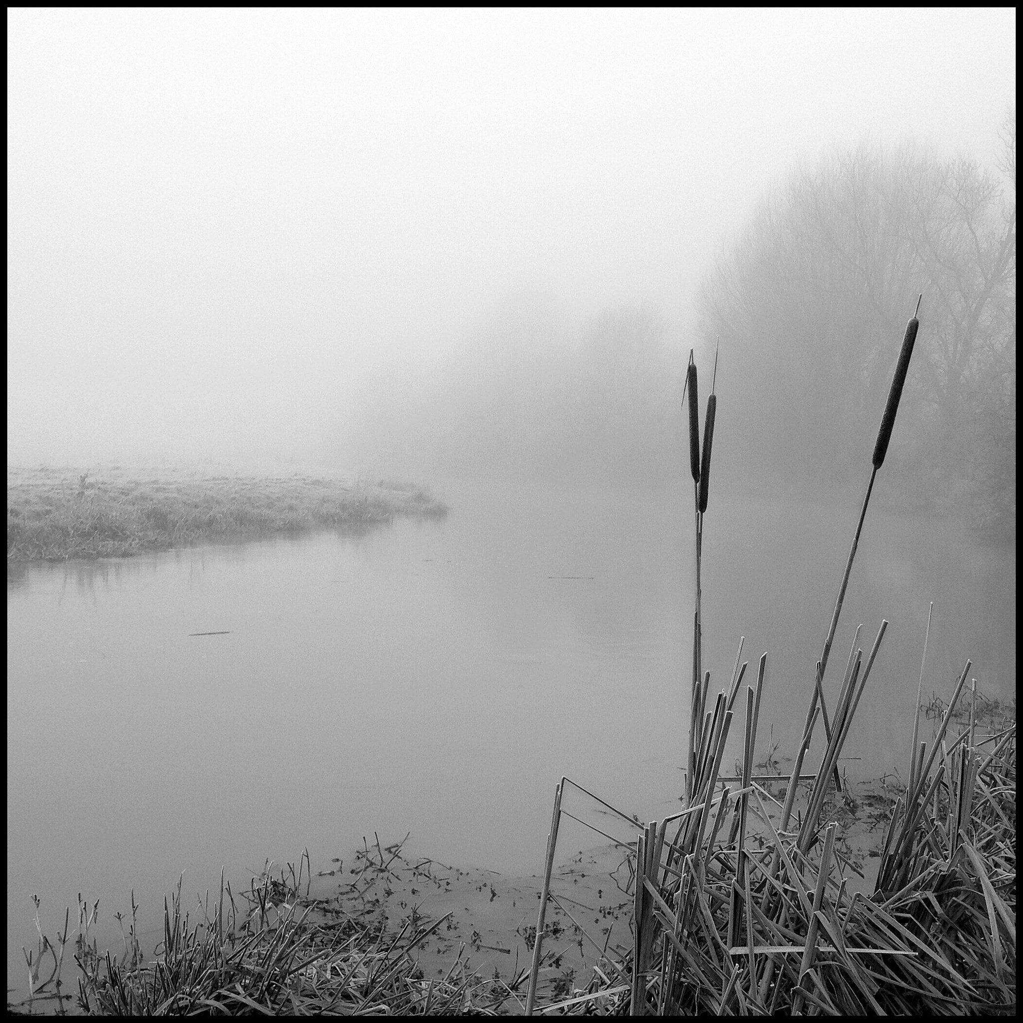 Curious Satellite Hueless on iPhone sample photo. River ouse photography